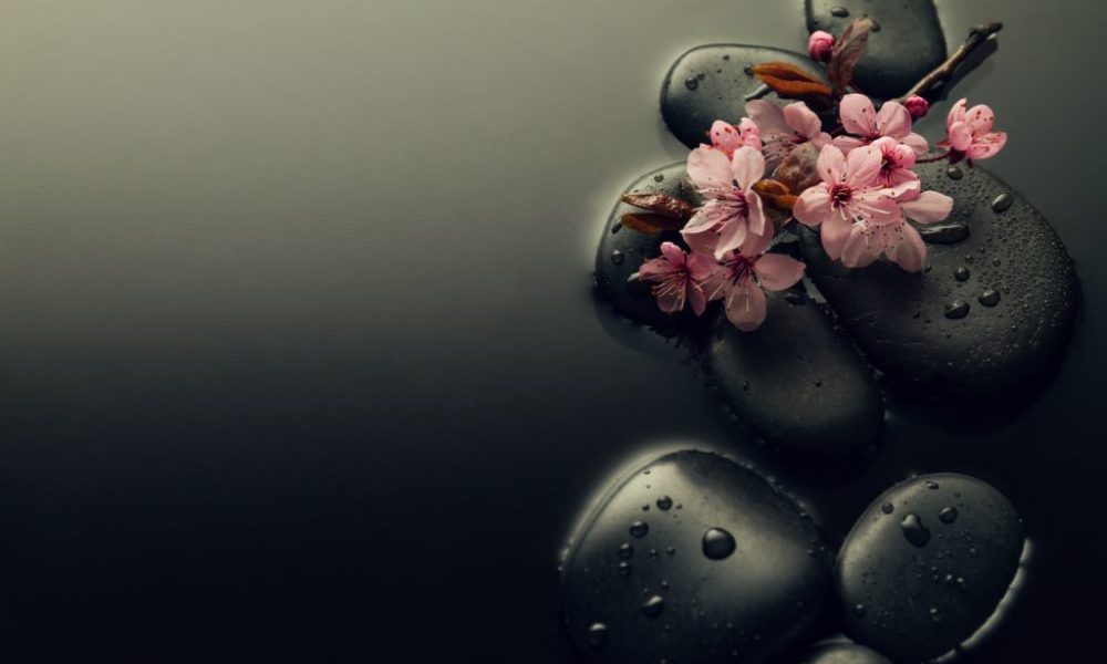 beautiful-pink-spa-flowers-spa-hot-stones-water-wet-background-side-composition-copy-space-spa-concept-dark-background (Custom)